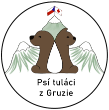 Psí tuláci z Gruzie