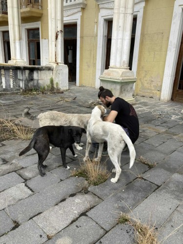 Psí kamarádi ve Tskaltubu